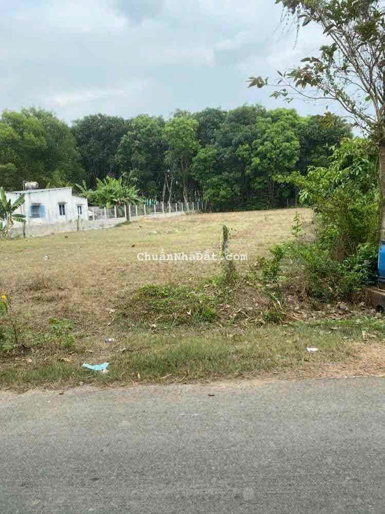 Bán lô đất MT Phạm Thị Liền, Thái Mỹ, Củ Chi: 25 x 66, giá 6,99 tỷ