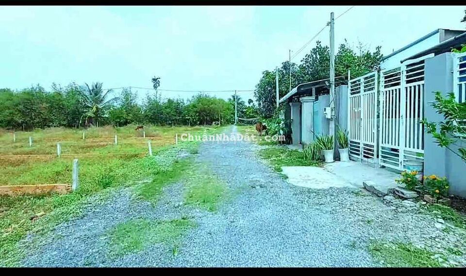 176m2 (5x34)đất hiện hữu đg/cây trôm,cáchQl22 1km