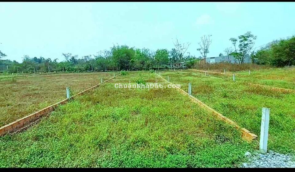 176m2 (5x34)đất hiện hữu đg/cây trôm,cáchQl22 1km