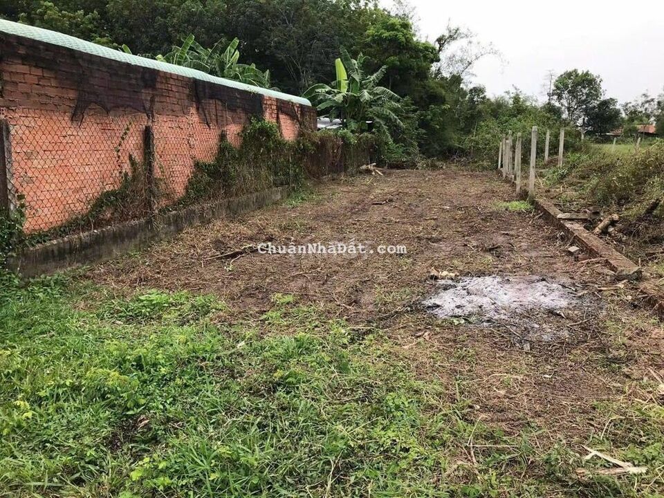 THANH LÝ NHANH LÔ ĐẤT NGỘP 193M2 GIÁ 390TR TẠI TÂN AN HỘI CỦ CHI THANH LÝ NHANH LÔ ĐẤT NGỘP 193M2 GIÁ 390TR TẠI TÂN AN HỘI CỦ CHI