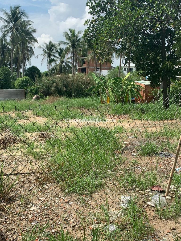 Bán đất SHR 194m2 Giá 980tr MT Ngô Trí Hoà ngay trường học thị trấn Bán đất SHR 194m2 Giá 980tr MT Ngô Trí Hoà ngay trường học thị trấn