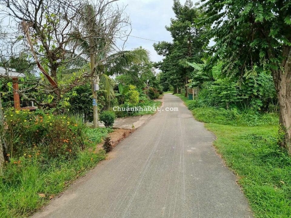 Bán 243m2(8x30) thổ cư giá 470tr ,Nguyễn Văn Khạ,Tân AN Hội,Củ CHi Bán 243m2(8x30) thổ cư giá 470tr ,Nguyễn Văn Khạ,Tân AN Hội,Củ CHi