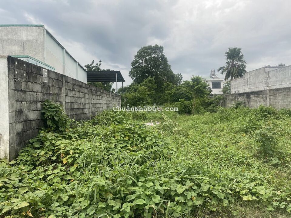 Bán Đất Ngay Chợ Tân Quy, Củ Chi, 6 x 50, Chính Chủ, Chỉ Hơn 4 Tỷ.