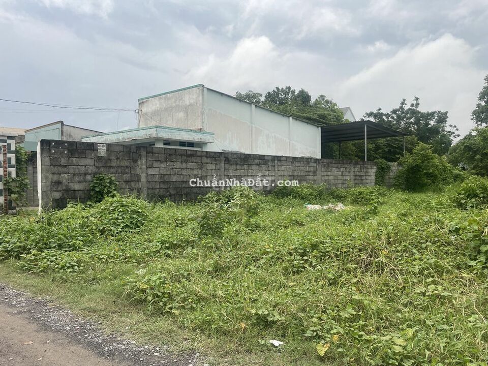 Bán Đất Ngay Chợ Tân Quy, Củ Chi, 6 x 50, Chính Chủ, Chỉ Hơn 4 Tỷ.