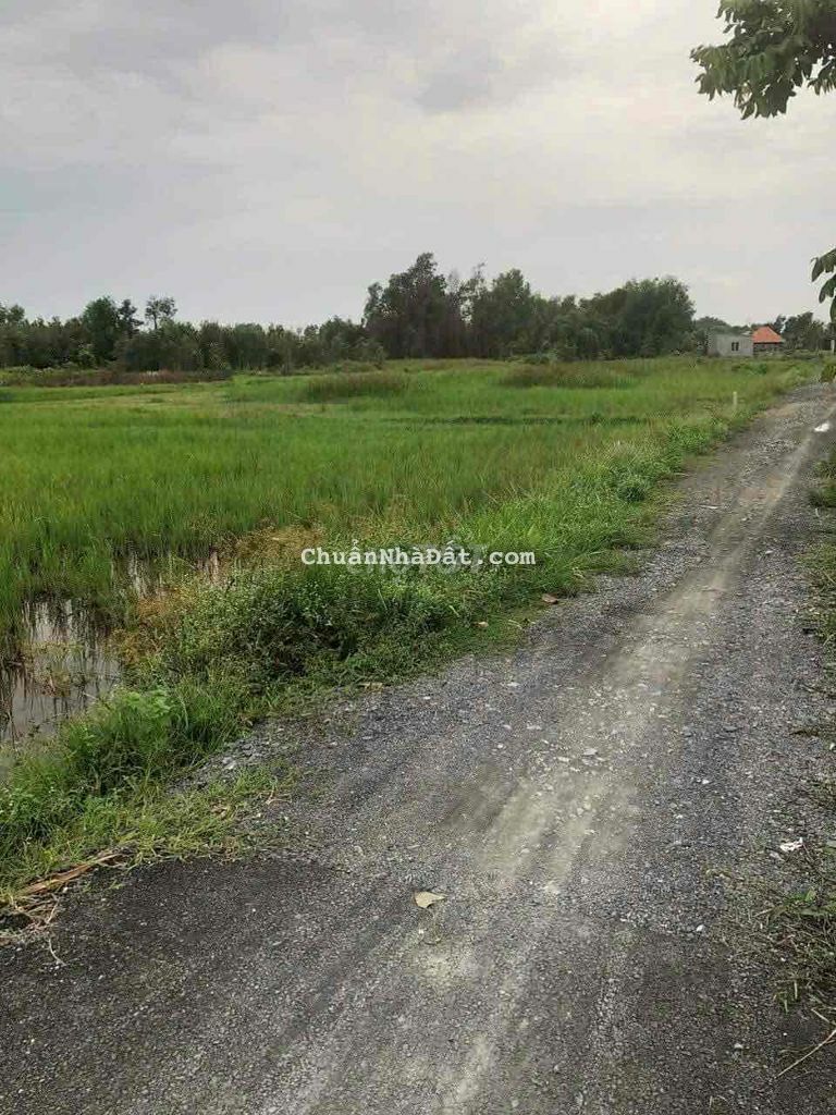 Đất khu dân cư đẹp(600m),Trung An,Củ Chi. Đất khu dân cư đẹp(600m),Trung An,Củ Chi.