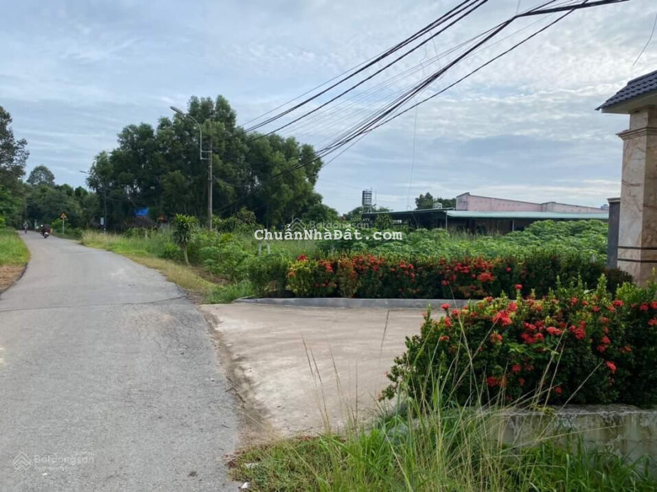 Cắt lỗ 200 triêu/ lô đất full thổ đối diện KCN Phú Hòa Đông, Củ Chi, sổ hồng riêng, sang tên ngay