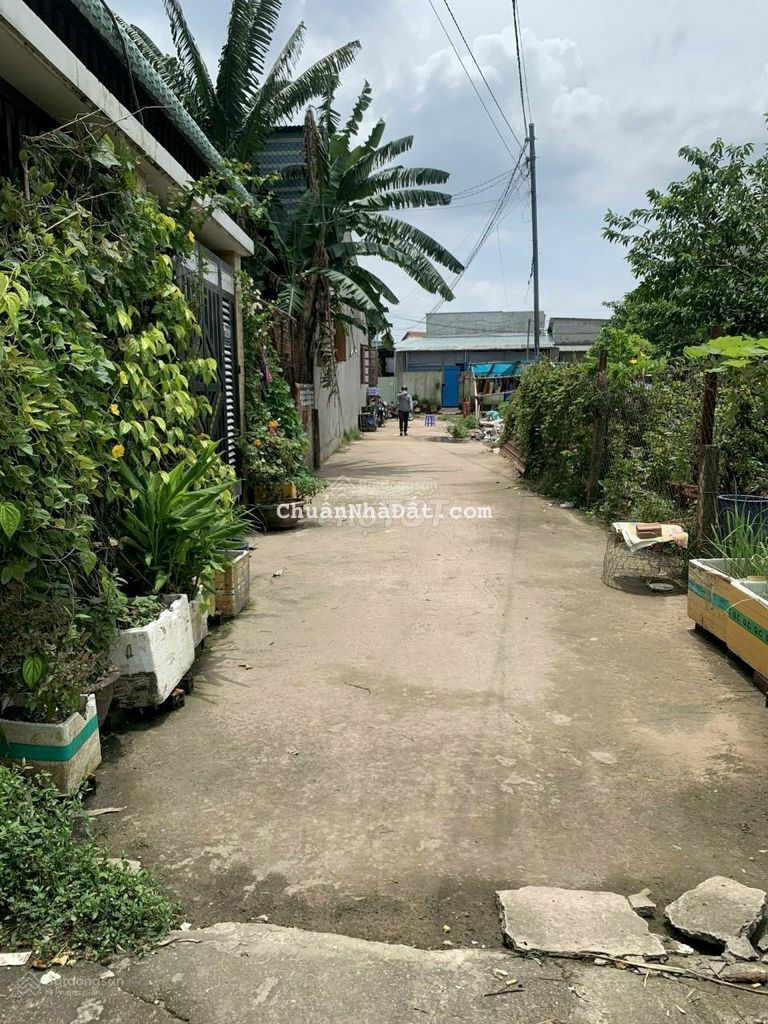 Đất thổ 85m2 Lê Đức Linh, 1 xẹt Tình Lộ 2, Phước Vĩnh An, Củ Chi 950tr