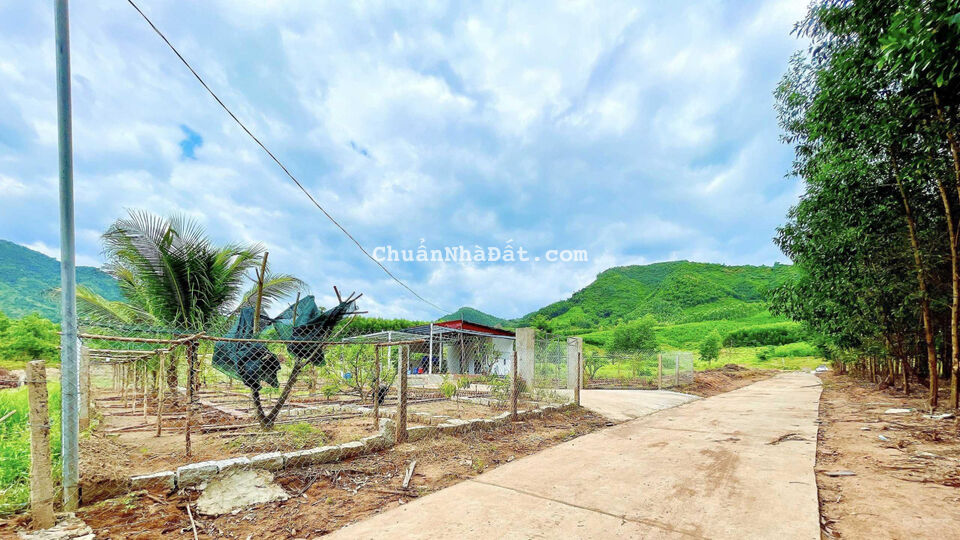 Bán gấp 1000m2 đất làm vườn rau đường quy hoạch 16m, sổ hồng riêng, giá chỉ 395 triệu