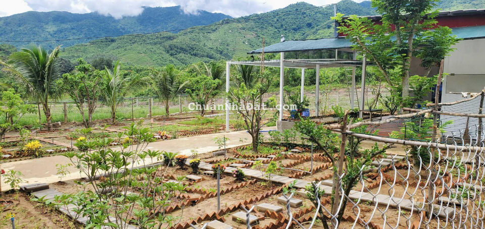 Bán gấp 1000m2 đất làm vườn rau đường quy hoạch 16m, sổ hồng riêng, giá chỉ 395 triệu