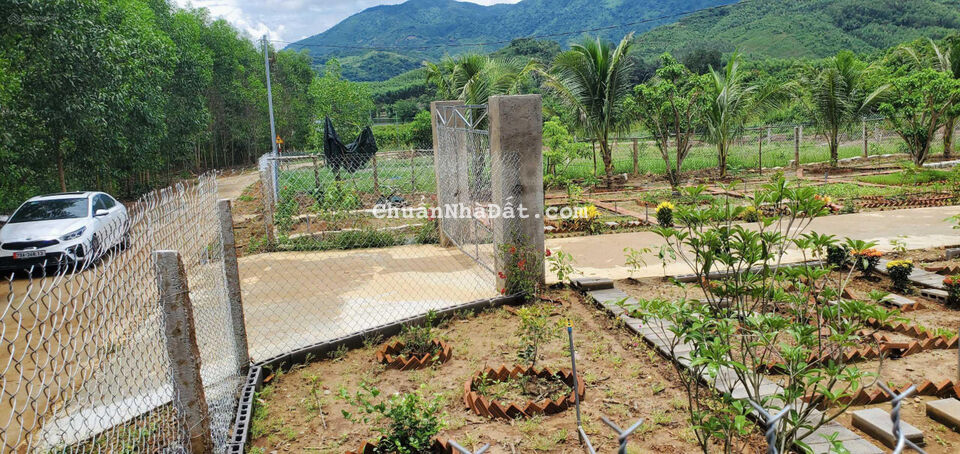 Bán gấp 1000m2 đất làm vườn rau đường quy hoạch 16m, sổ hồng riêng, giá chỉ 395 triệu