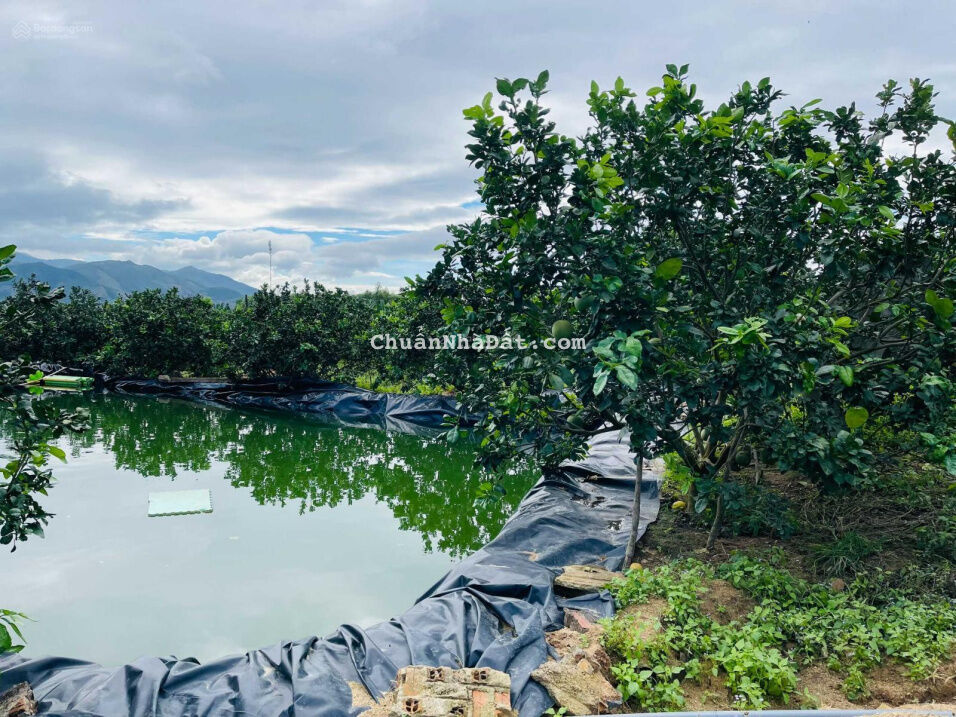 Bán đất Suối Tiên Diên Khánh - vị trí đẹp, đất thổ cư, 1200m giá bán 1,2 tỷ Bán đất Suối Tiên Diên Khánh - vị trí đẹp, đất thổ cư, 1200m giá bán 1,2 tỷ