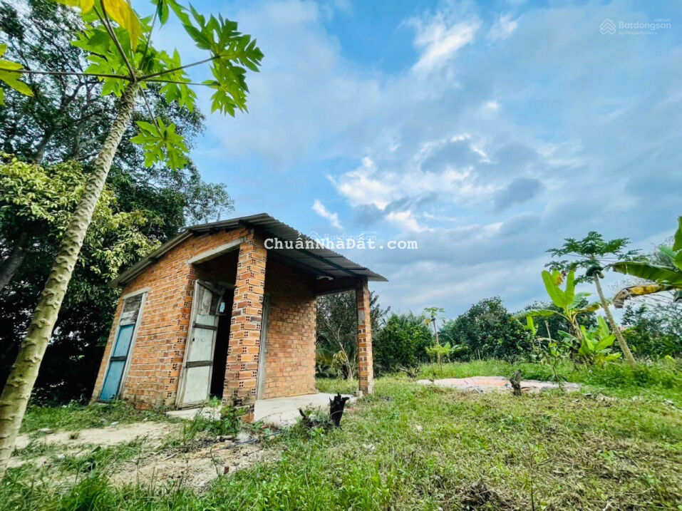 Bán vườn cây ăn quả 1200m2 mặt tiền Tỉnh lộ 2 Diên Thọ giáp sông Cái - Giá 3,5 tỷ