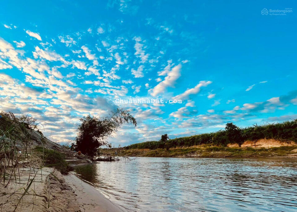 Chính chủ cần bán vườn cây ăn quả, diện tích 1200m2, mặt tiền đường lớn, giáp sông Cái Chính chủ cần bán vườn cây ăn quả, diện tích 1200m2, mặt tiền đường lớn, giáp sông Cái