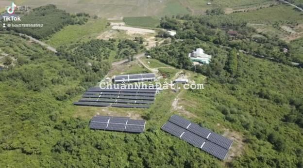 Bán đất 2ha8 huyện Diên Khánh có sẵn điện năng lượng doanh thu 200-300tr/tháng