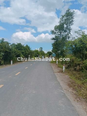 Bán đất 2ha8 huyện Diên Khánh có sẵn điện năng lượng doanh thu 200-300tr/tháng