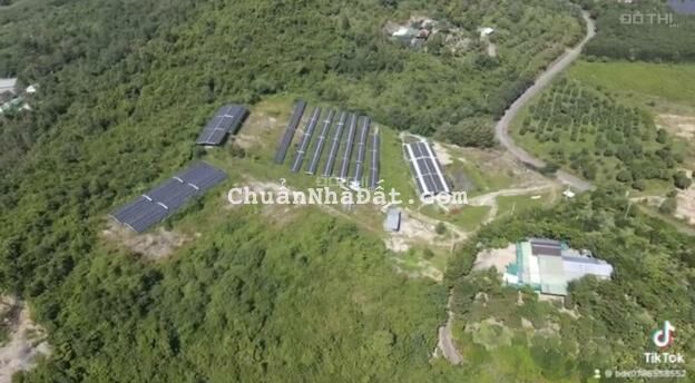 Bán đất 2ha8 huyện Diên Khánh có sẵn điện năng lượng doanh thu 200-300tr/tháng