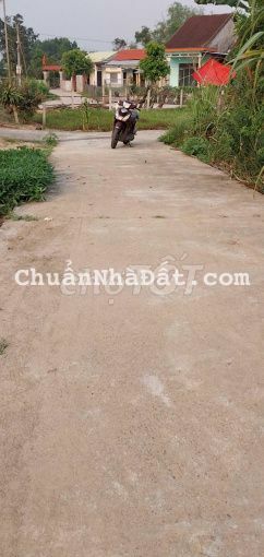 LÔ BIỆT THỰ NHÀ VƯỜN 450m2 GẦN CẦU GIAO THUỶ BETONG 4m GIÁ 668tr LÔ BIỆT THỰ NHÀ VƯỜN 450m2 GẦN CẦU GIAO THUỶ BETONG 4m GIÁ 668tr