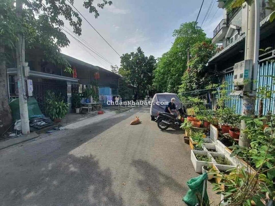 mặt tiền đường số 7 tái định cư tứ hải 2ty8 🌹🌹🌹🌹🌹🌹🌹 mặt tiền đường số 7 tái định cư tứ hải 2ty8 🌹🌹🌹🌹🌹🌹🌹