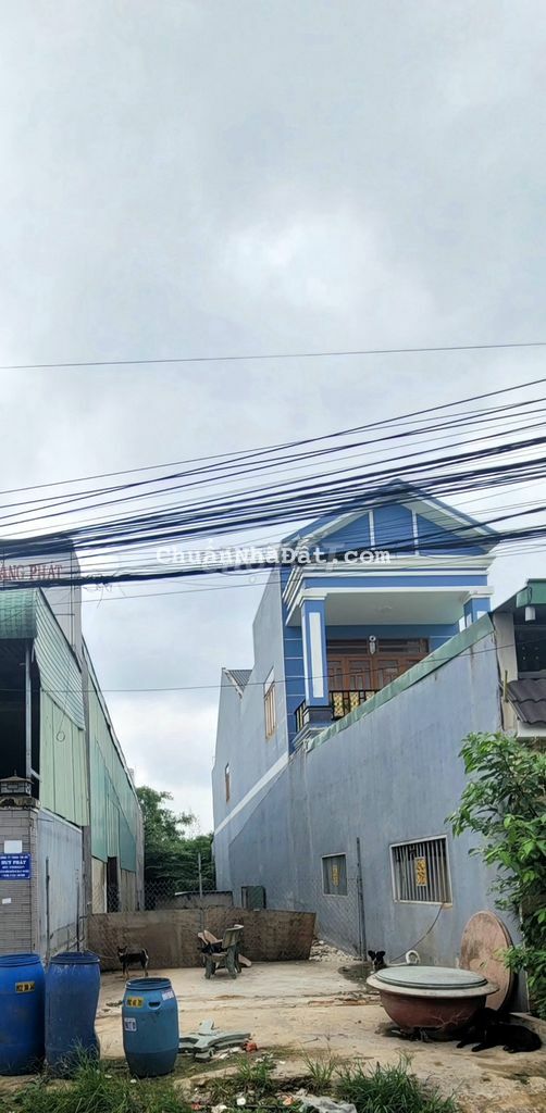 Đất RẺ (5x45) đường 8m Thông Kinh Doanh cách Nguyễn Thị Tươi 50m Đất RẺ (5x45) đường 8m Thông Kinh Doanh cách Nguyễn Thị Tươi 50m