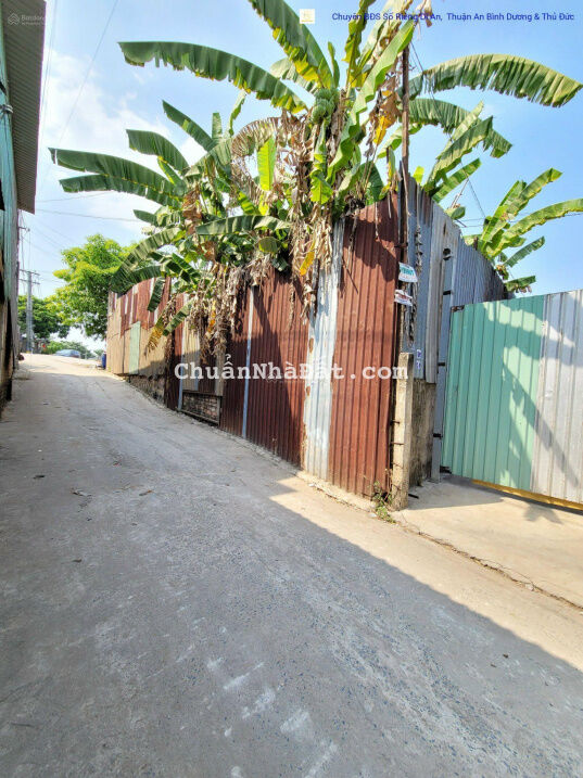 Bán đất giá rẻ 14,3tr/m2 ngang 8 gần đường Nguyễn Thị Tươi P. Tân Bình TP Dĩ An Bán đất giá rẻ 14,3tr/m2 ngang 8 gần đường Nguyễn Thị Tươi P. Tân Bình TP Dĩ An