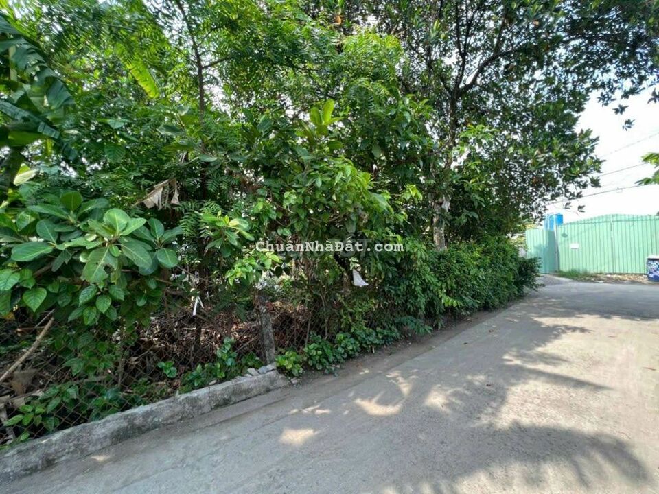 Đất gần BigC Go, đường ô tô thông thoáng, xây dựng tự do, Dĩ An