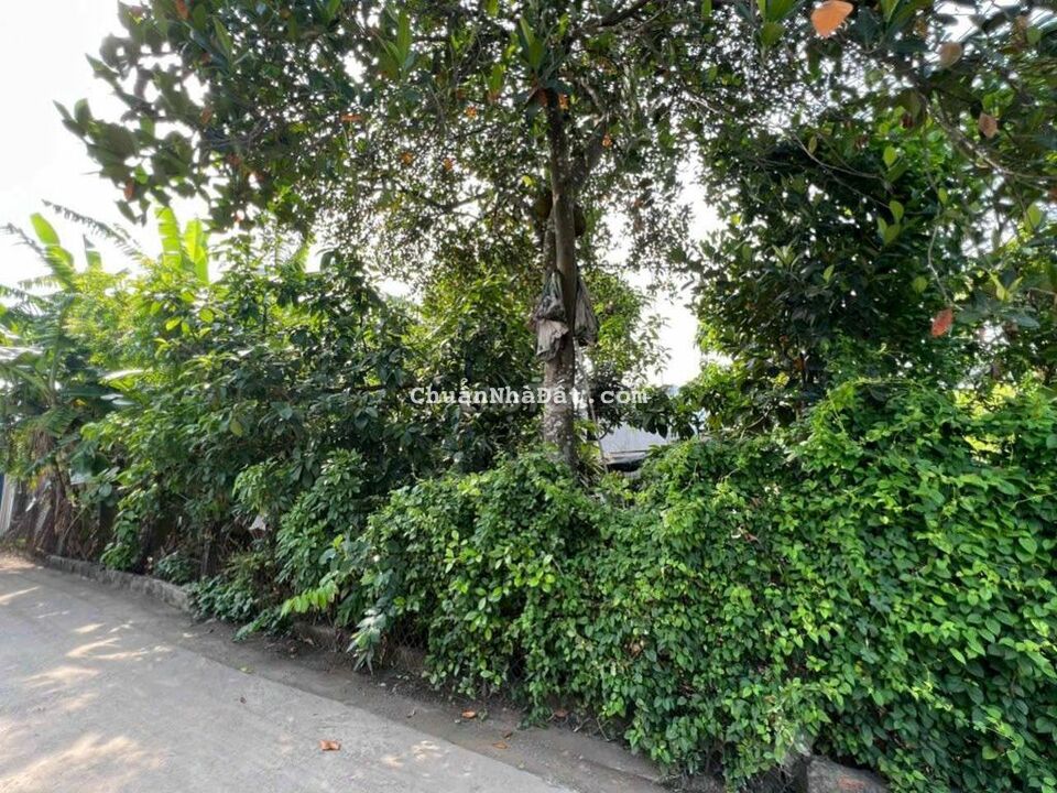 Đất gần BigC Go, đường ô tô thông thoáng, xây dựng tự do, Dĩ An