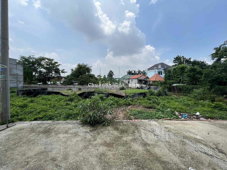 3 lô Đất phường Tân Bình thành phố Dĩ An