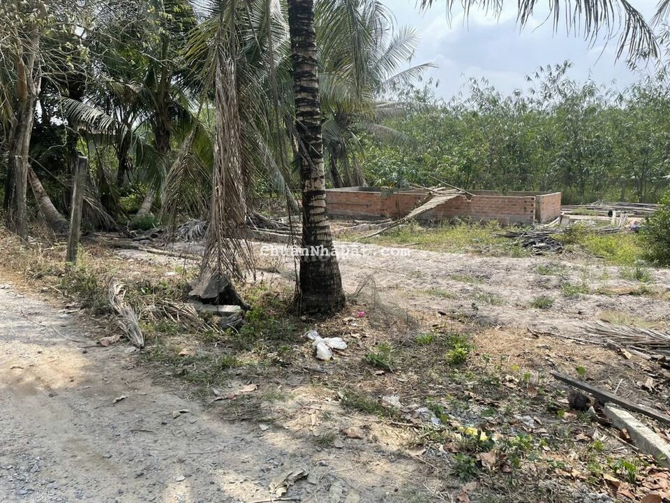 Đất Full Thổ đường oto chỉ 390tr Cách nhựa 100m,Lộc Ninh DMC Đất Full Thổ đường oto chỉ 390tr Cách nhựa 100m,Lộc Ninh DMC