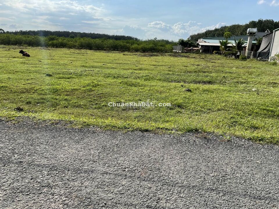 Chỉ 150tr có ngay lô đất 5x26 50TC+CLN Lộc Ninh DMC Chỉ 150tr có ngay lô đất 5x26 50TC+CLN Lộc Ninh DMC