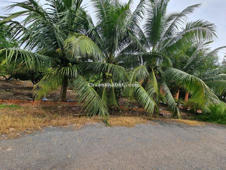 ĐẤT TRUÔNG MÍT, HẺM NHỰA, GẦN XÍ NGHIỆP CAN SPORT, GIÁ TỐT ĐẤT TRUÔNG MÍT, HẺM NHỰA, GẦN XÍ NGHIỆP CAN SPORT, GIÁ TỐT