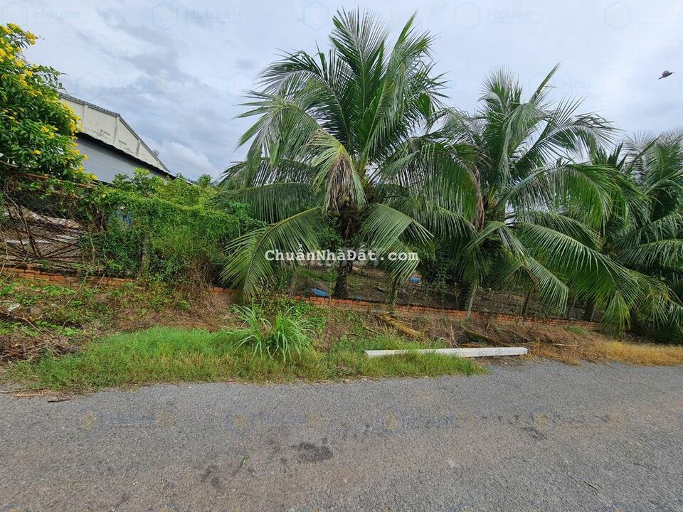 ĐẤT TRUÔNG MÍT, HẺM NHỰA, GẦN XÍ NGHIỆP CAN SPORT, GIÁ TỐT ĐẤT TRUÔNG MÍT, HẺM NHỰA, GẦN XÍ NGHIỆP CAN SPORT, GIÁ TỐT