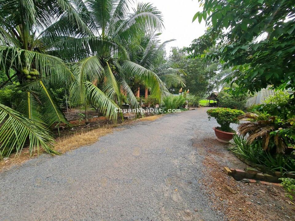 ĐẤT TRUÔNG MÍT, HẺM NHỰA, GẦN XÍ NGHIỆP CAN SPORT, GIÁ TỐT ĐẤT TRUÔNG MÍT, HẺM NHỰA, GẦN XÍ NGHIỆP CAN SPORT, GIÁ TỐT