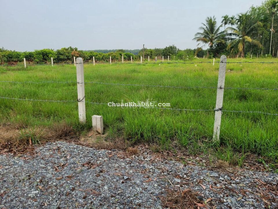 Đất đẹp giá tốt 6x24 ONT+CLN. Giá 370tr Đất đẹp giá tốt 6x24 ONT+CLN. Giá 370tr