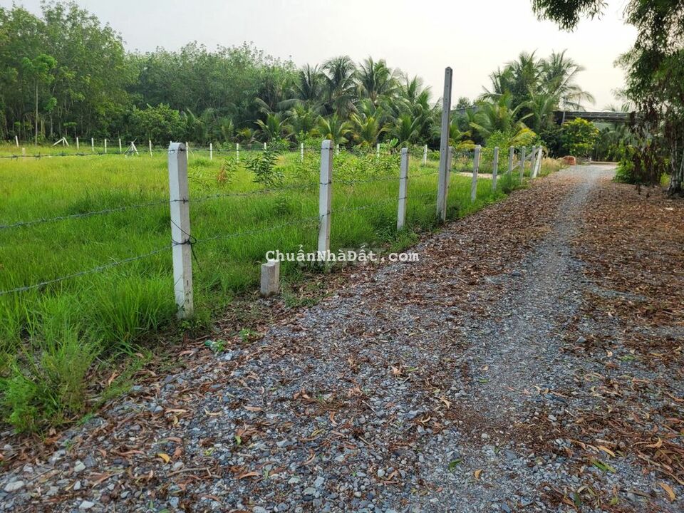 Đất đẹp giá tốt 6x24 ONT+CLN. Giá 370tr Đất đẹp giá tốt 6x24 ONT+CLN. Giá 370tr