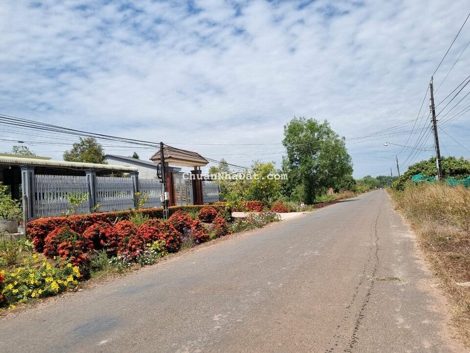 Đất đẹp giá tốt 6x24 ONT+CLN. Giá 370tr Đất đẹp giá tốt 6x24 ONT+CLN. Giá 370tr