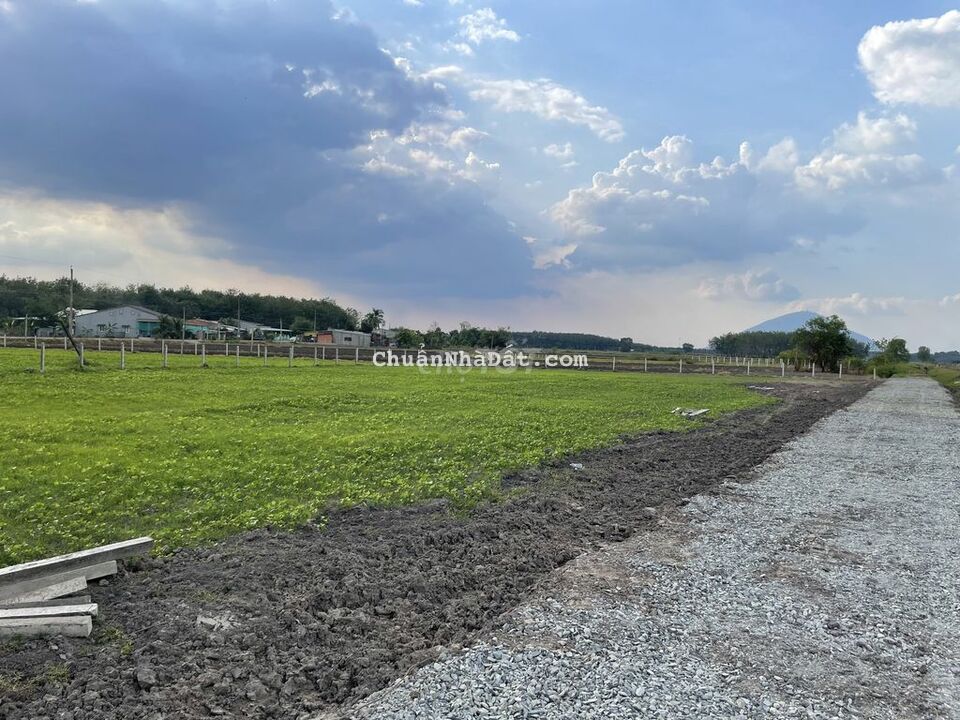 146m2 full TC.Rớt nhựa 100m.Gần Dầu Tiếng.410tr.Rẻ