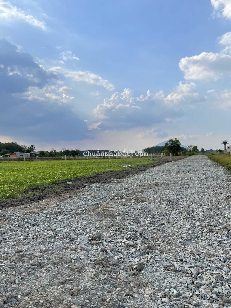 146m2 full TC.Rớt nhựa 100m.Gần Dầu Tiếng.410tr.Rẻ