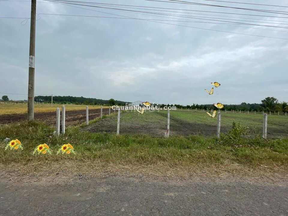 5x35.full thổ.155m2.view Núi.Gần Dầu Tiếng.450tr