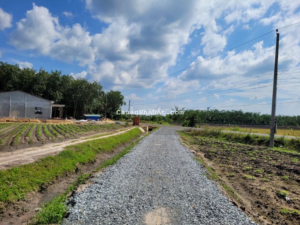 5x36 full thổ cư. Cách nhựa 40m. Xe hơi tận đất. Chủ ngộp bán lỗ 450tr 5x36 full thổ cư. Cách nhựa 40m. Xe hơi tận đất. Chủ ngộp bán lỗ 450tr