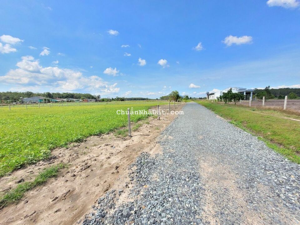 5x36 full thổ cư. Cách nhựa 40m. Xe hơi tận đất. Chủ ngộp bán lỗ 450tr 5x36 full thổ cư. Cách nhựa 40m. Xe hơi tận đất. Chủ ngộp bán lỗ 450tr