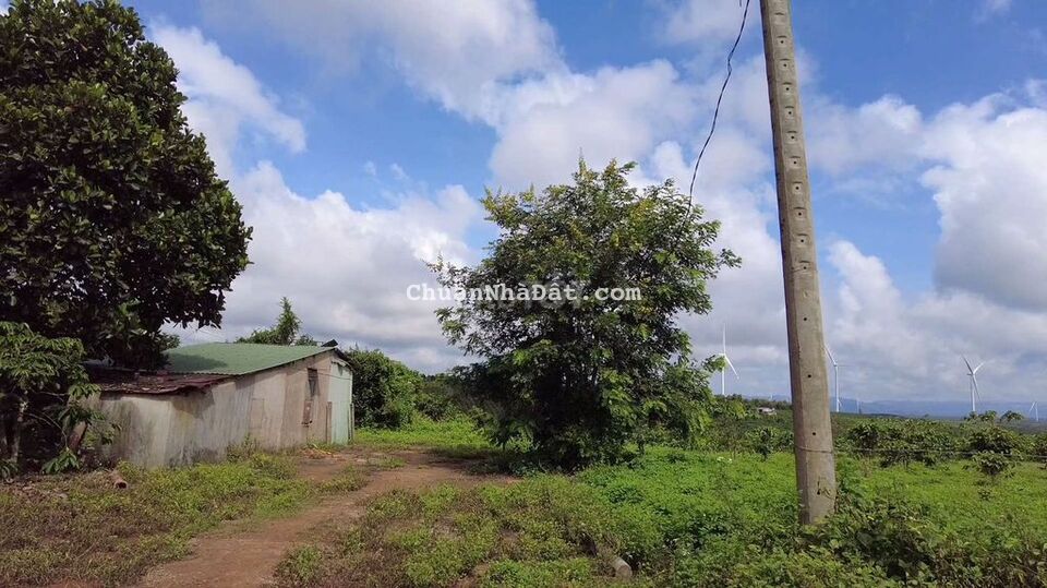 Đất view điện gió, ngay đường Tránh Đất view điện gió, ngay đường Tránh