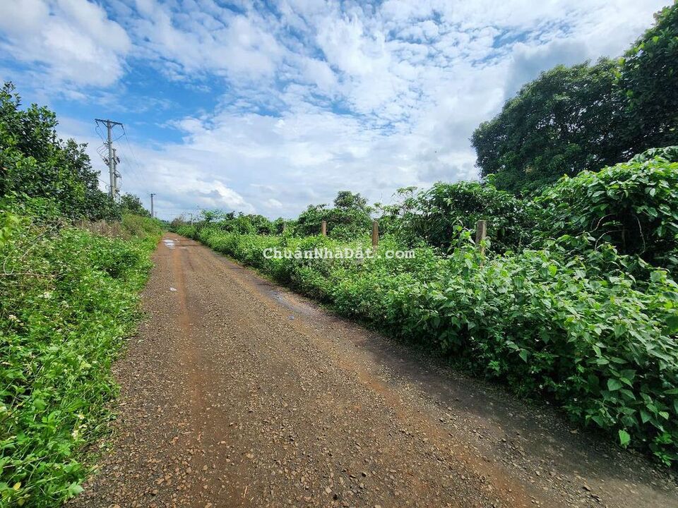 Đất ngay đường Tránh, cách sân bay 15km Đất ngay đường Tránh, cách sân bay 15km