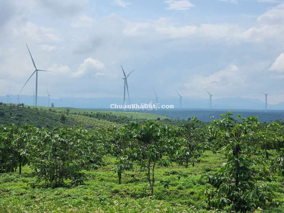 Đất ngay đường Tránh, cách sân bay 15km Đất ngay đường Tránh, cách sân bay 15km
