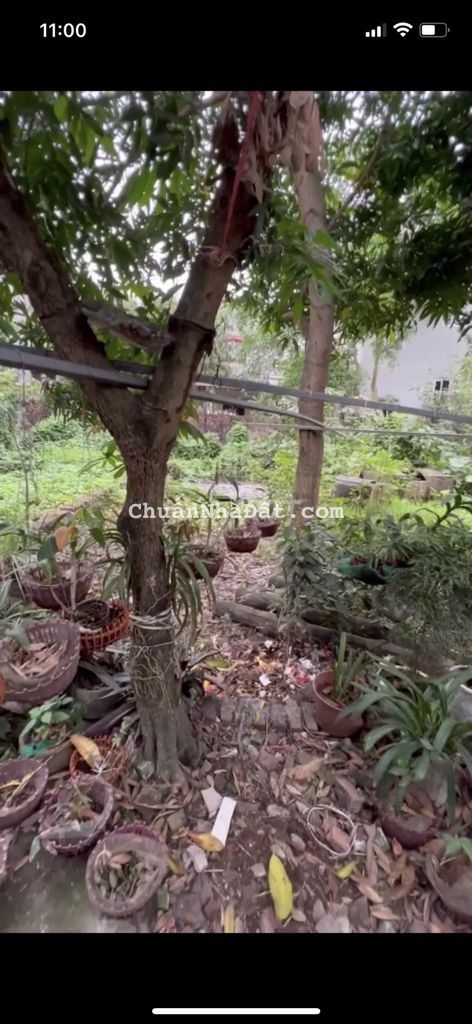 Tôi cần bán 120m2 đất Đào Xuyên, Đa Tốn đường ô tô giá 25tr/m2 Tôi cần bán 120m2 đất Đào Xuyên, Đa Tốn đường ô tô giá 25tr/m2