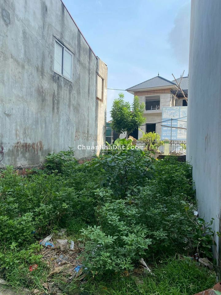 Bán nhanh 43m2 đất Kiêu Kỵ Gia Lâm đường oto giá 1.5 tỷ