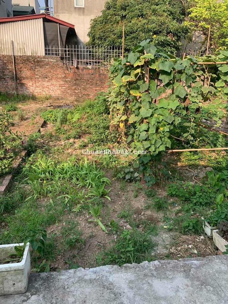 Đất Viên Ngoại, Đặng Xá DT 45m2 giá 1.45 tỷ Đất Viên Ngoại, Đặng Xá DT 45m2 giá 1.45 tỷ