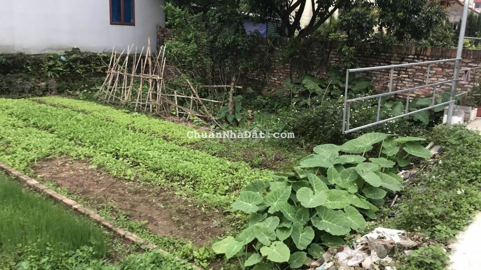 Bán 59m2 đất Giao Tất A, Kim Sơn đường trải nhựa 4m Bán 59m2 đất Giao Tất A, Kim Sơn đường trải nhựa 4m