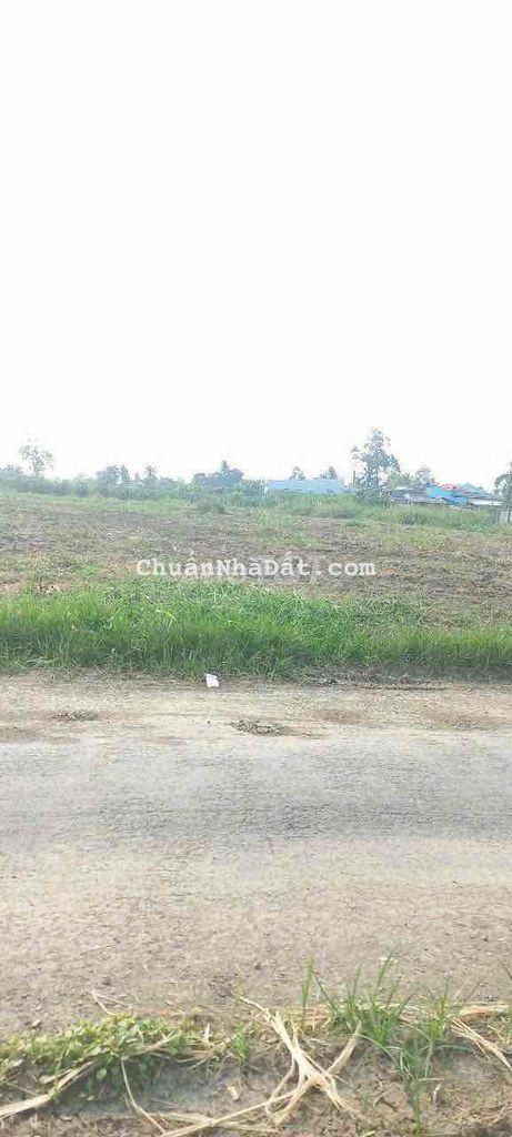 Bán đất thổ + vườn mặt tiền đường nhựa Tiền Giang 200m2 chỉ 550tr