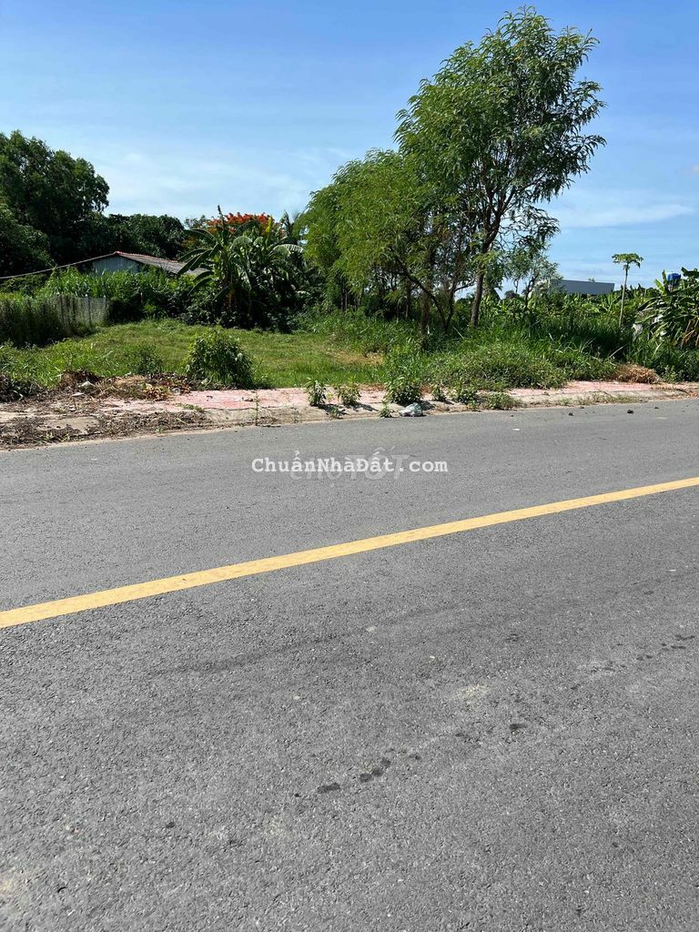 Đất Nền 438m2 83m2 TC Nguyễn Trãi Giá 2ty5