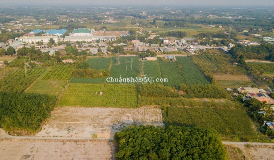 Đất 1/Đường DT782 đã có sổ hồng riêng